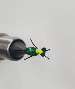 Weaver's Tackle Store Beetles