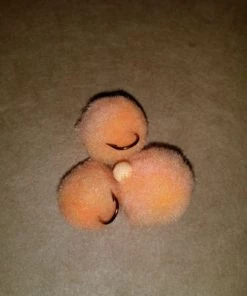 Weaver's Tackle Store Apricot Supreme Glo Ball Mini Jig