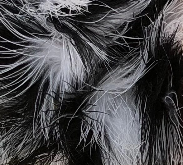 Weaver's Tackle Store Weaver's Premium Marabou Jigs 1/80