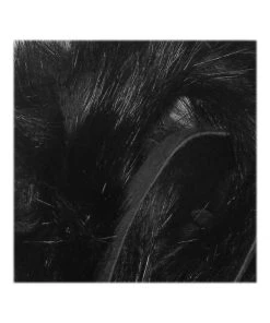 Wapsi Rabbit Zonkers