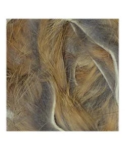 Wapsi Rabbit Zonkers