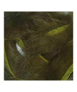 Wapsi Rabbit Zonkers