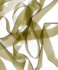 Hareline Dubbin Scud Back 1/8