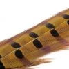 Wapsi Pheasant Ringneck Tail Feathers Fly Tying Supplies