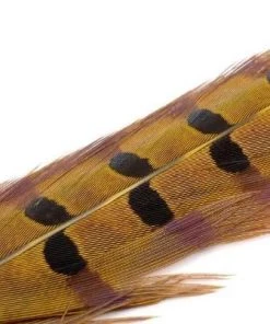 Wapsi Pheasant Ringneck Tail Feathers Fly Tying Supplies