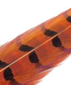 Wapsi Pheasant Ringneck Tail Feathers Fly Tying Supplies