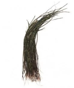 Wapsi Peacock Herl Strung Fly Tying Supplies