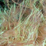 Wapsi Small Palmer Chenille