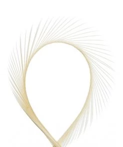 Wapsi Goose Biots Fly Tying Supplies