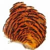 Wapsi Golden Pheasant Tippet Section Natural Fly Tying Supplies