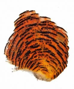 Wapsi Golden Pheasant Tippet Section Natural Fly Tying Supplies