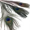 Hareline Dubbin Peacock Eyed Sticks Fly Tying Supplies