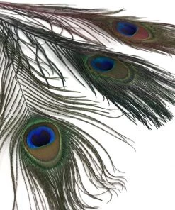 Hareline Dubbin Peacock Eyed Sticks Fly Tying Supplies