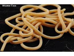 Hareline Dubbin Spirit River Squirmy Wormies Fly Tying Supplies