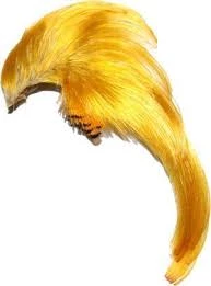 Wapsi Golden Pheasant Crest Only Natural Fly Tying Supplies