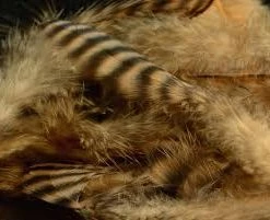 Hareline Dubbin Grizzly Soft Hackle Fly Tying Supplies