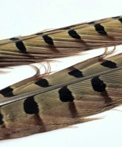 Wapsi Pheasant Ringneck Tail Feathers Fly Tying Supplies