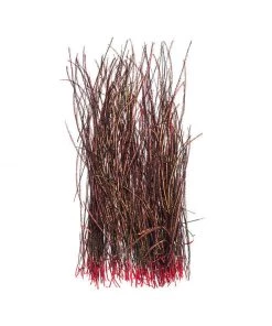 Wapsi Peacock Herl Strung Fly Tying Supplies