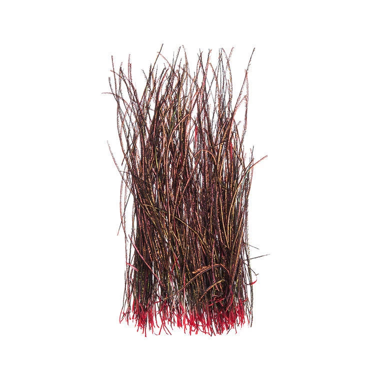 Wapsi Peacock Herl Strung Fly Tying Supplies