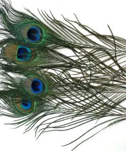 Fly Tying Supplies Wapsi Peacock Eyes, Natural