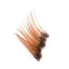 Wapsi Keough Hackle Mini Pack Small, Ginger Fly Tying Supplies