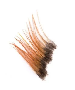 Wapsi Keough Hackle Mini Pack Small, Ginger Fly Tying Supplies
