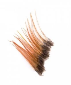 Wapsi Keough Dry Fly Neck Hackle Mini Pack